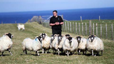 Dòmhnall Macsuain le rùdan