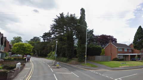 A road with houses on one side and a row of trees on the other. There is a junction on the right hand side and a pedestrian island in the centre of the road.