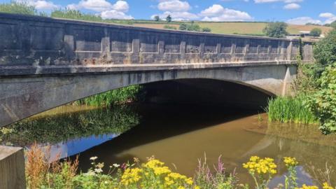 A view from the side of the Baulk Bridge. It is concrete and there is a river running below it. The water under the arched bridge is murky and there are plants and flowers either side of it. There are features along the top of the bridge. 