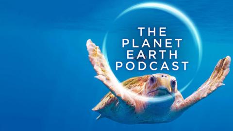A sea turtle swimming in the ocean. Overlayed is text that reads 'THE PLANET EARTH PODCAST'