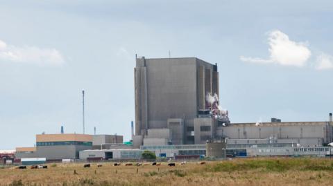 Hartlepool Power Station. The power station is a large grey concrete building. At its centre is a tall rectangular building, which is surrounded by smaller buildings. In front of it is a field containing cows.
