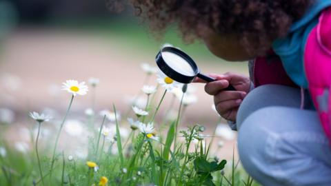 A child holds a magnifying glass up to grass