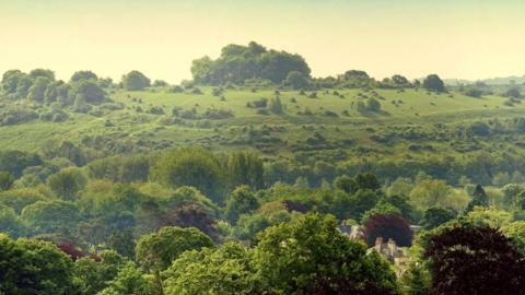 SATURDAY - St Catherine’s Hill in Winchester 