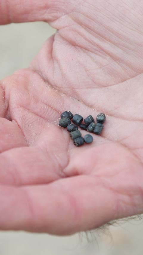 A person holding small, black pellets in the palm of their hand.