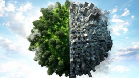 planet divided into trees and urbanisation