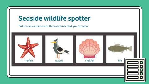 Cartoons of fish, starfish, duck and clam in a grid, to use for spotting things at the seaside.