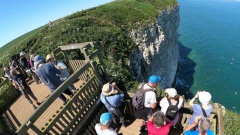 People standing on wooden platforms on Bempton cliffs look at swooping seabirds on a sunny summer's day