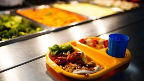 A school meal in a yellow plastic tray. The tray is sectioned into three with the main meal on the left, a dessert in the top right corner and a blue drinks cup in a circular holder on the bottom right. It stands on a stainless steel counter with trays of food in the distance.