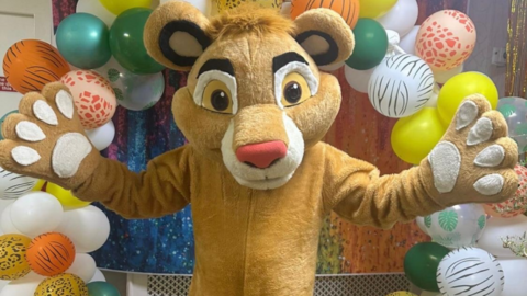 A person in a Simba costume - which is a large lion - from the show The Lion King. He is standing with his outstretch and with a wall of balloons and multi-coloured material behind him.