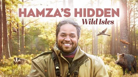 Hamza's Hidden Wild Isles