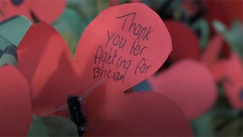 Poppy with message written on it