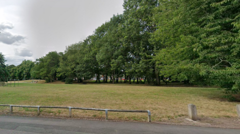 A photo of a green space there is green grass and trees and a pavement at the front. 