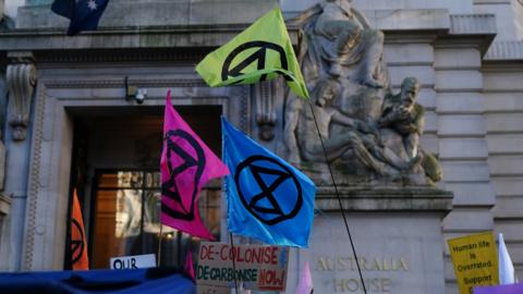 Extinction Rebellion flags