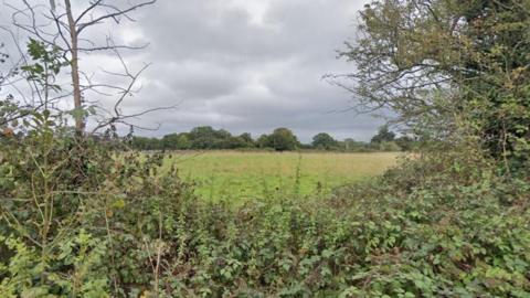 A grass field pictured through a gap in the hedgerow. The hedge is made up of brambles and other green foliage. The field is lined with trees at the back.