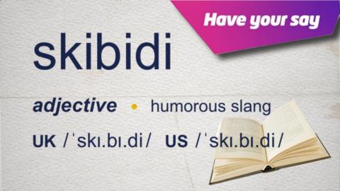 Skibidi as it appears in the dictionary, in the top right is an invitation for readers to 'have your say'.
