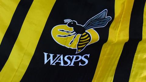 Wasps flag