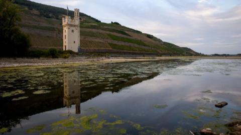 Rhine