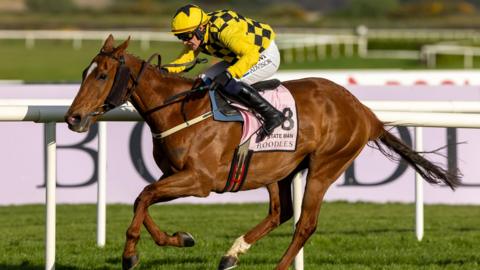 State Man and Paul Townend win at Punchestown