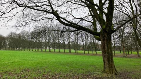 Woodhouse Moor park