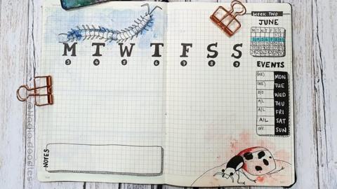 Highly illustrated bullet journal