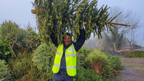 A man in a yellow high-vis vest is holding up a Christmas tree over his head. Behind him is a pile of other trees.