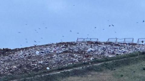 Rubbish at the Bellhouse landfill site in Stanway