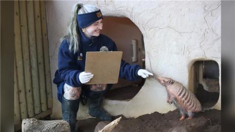 A zookeeper smiling and pointing at an armadillo. 