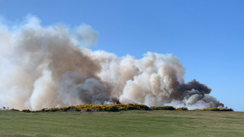 Massive plume of smoke on a hill with yellow gorse. Blue skies. 