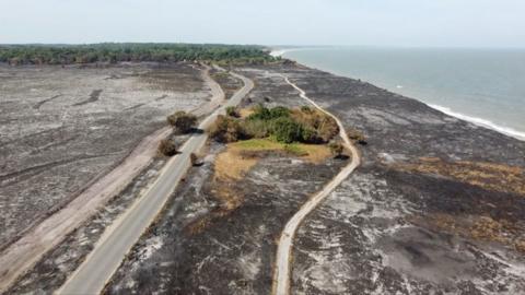 A drone shot of land next to the sea which has been burnt in a fire. The landscape is covered in grey ash, however there is a small mound of green land which was not burnt.