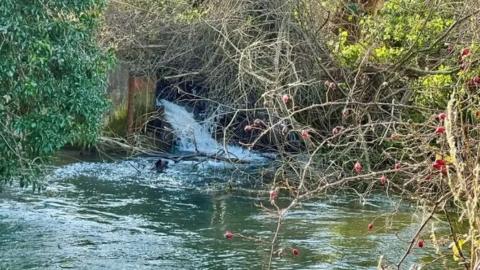 Sewage flowing into the River Coln in Fairford via a pump earlier this year