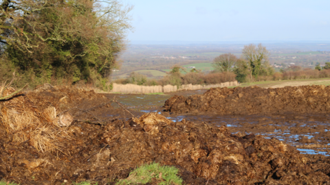 Slurry on the glamping site