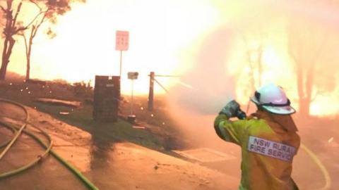 A firefighter battles a bushfire in Sydney's south