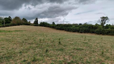 A grassy hill with trees on the edge. The sky is cloudy and some houses peek out of the bushes in the distance.