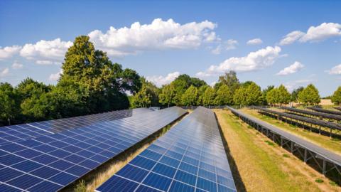 A solar farm in a green field with green trees 