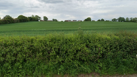 A hedge and a green field with existing houses in the background.  There are trees to the left and right.