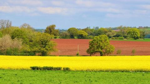 It's going to be mostly dry this over the next few days but will the temperature increase as the week goes on? Darren Bett has been looking ahead.