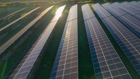 Sunlight glints off 14 rows of blue solar panels tilted upwards in a green field.