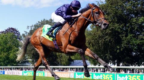 City Of Troy racing at Sandown