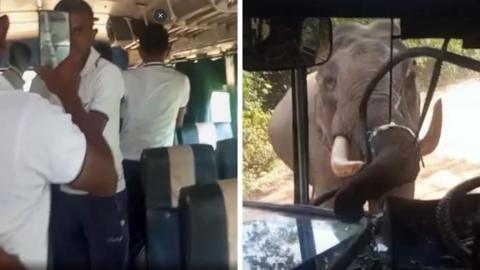 Elephant smashing through bus windscreen with its trunk UGC Via �鶹�� News Sinhala
