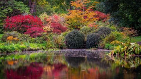 Dense woodland trees in bright autumn colours, reds, greens, orange and yellows reflecting in water.