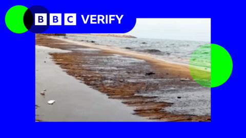 Image of oil washed up on a beach, in a BBC Verify branded border.