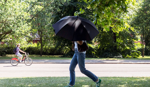 A woman with an umbrella walks in a park