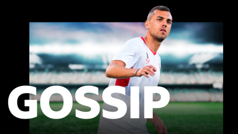 Gossip banner