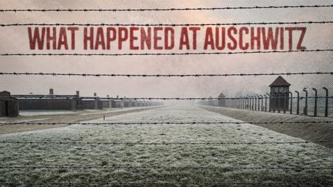 What Happened at Auschwitz