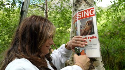 Ellie, left, staples a poster to a tree in a forest area. The poster has a picture of her dog Louie and text saying 'missing'.