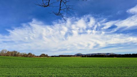 Blue sky interspersed with patchy cloud over a green field with snow-capped mountains in the distance 