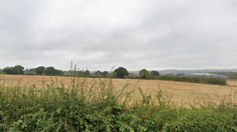 Green hedge with a field beyond, and grey sky above
