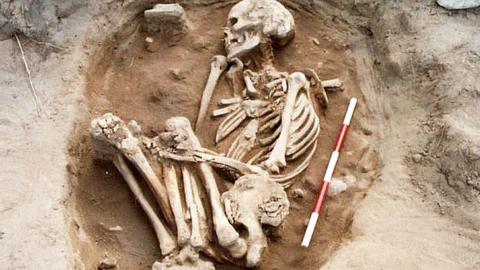 Unearthed Anglo-Saxon skeleton from Bamburgh
