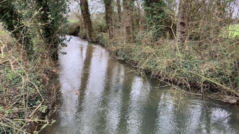 A narrow river with brown, murky water, flanked on both sides by dense trees and bushes.