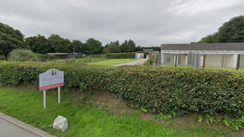 A dog kennels pictured behind a hedge and surrounded by lawn. There is a sign saying Wag Pad.